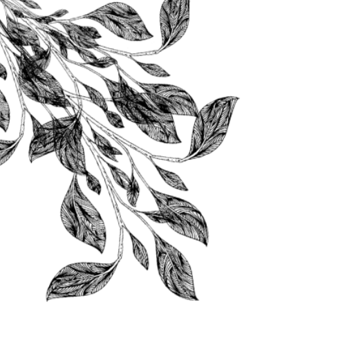 frame kiri atas